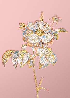 Gold Rainbow Mosaic Flower