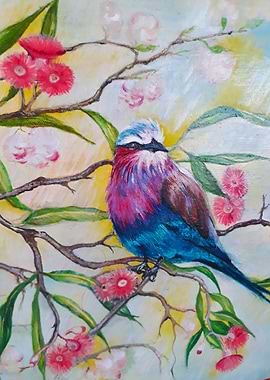 Lillac brested roller tree