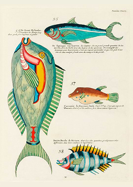 Colourful and surreal