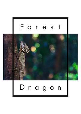 Forest Dragon Owner Nature