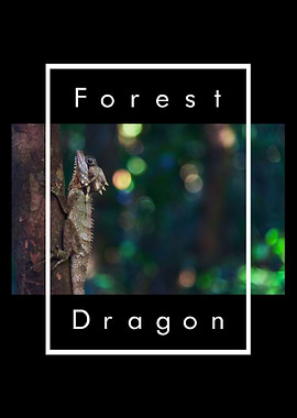 Boyds Forest Dragon Keeper