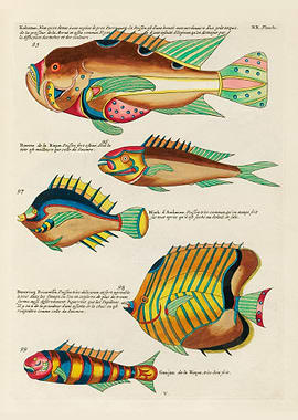 Colourful and surreal