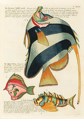 Colourful and surreal