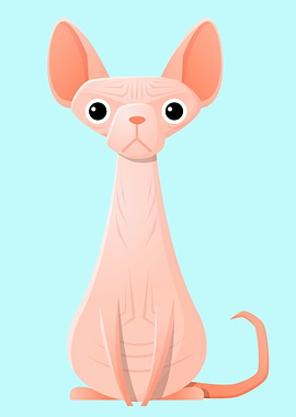 sphynx cat