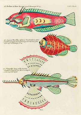 Colourful and surreal