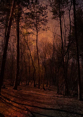 Fire forest