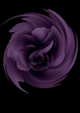 Purple rose