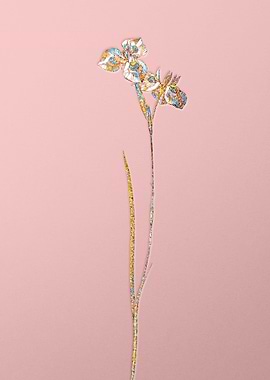 Pink Rainbow Mosaic Flower