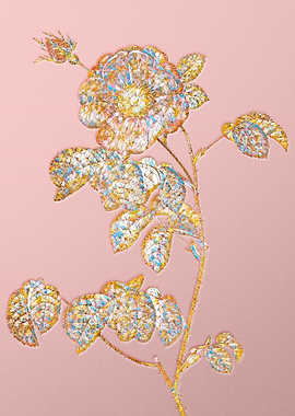 Gold Rainbow Mosaic Flower