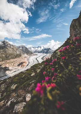 Aletsch Glacier