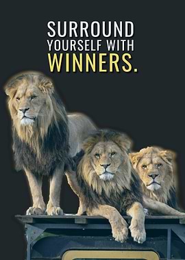 Surrounded by Winners