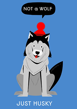 Not a Wolf just Husky
