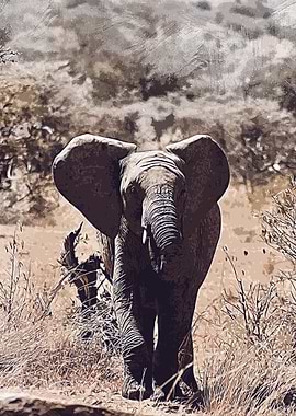 elephant is elephant