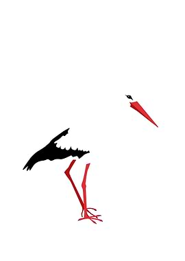 Digital stork drawing