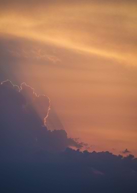 Vertical Leaking Gold