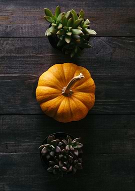 Flowers Pumpkin creation