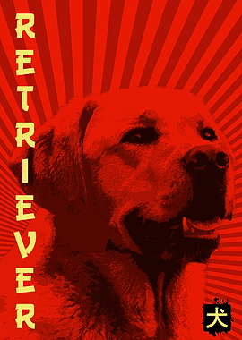 dog golden retriever