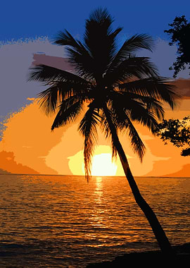 Tropical Palm Trees Sunset