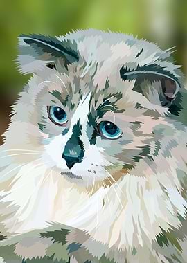 Cute gray long haired cat