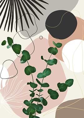 Eucalyptus Fan Palm 1