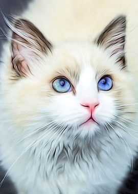 Cute White Cat