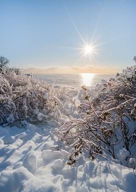 Winter sunset by the lake