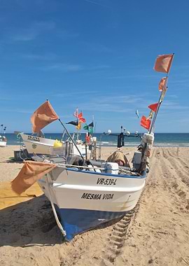 Fishing boat Monte Gordo 1