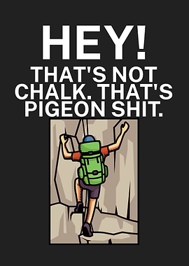 Hey chalk pigeon shit