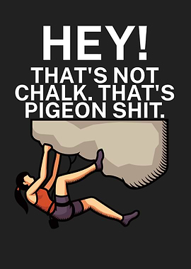 Hey chalk pigeon shit