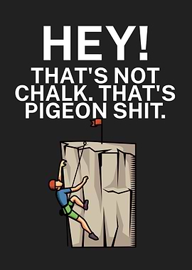 Hey chalk pigeon shit