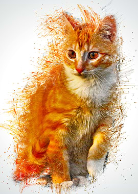 Cat Animal Illustration