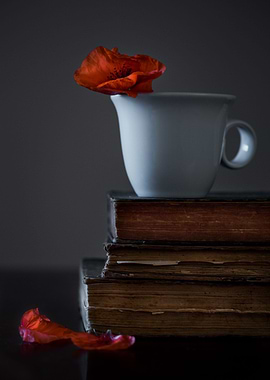 A cup of poppy