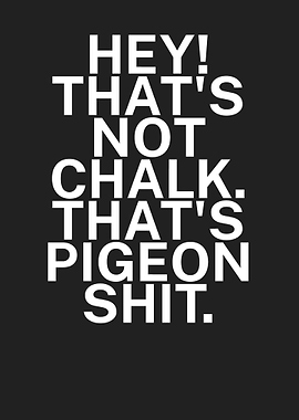 Chalk pigeon shit