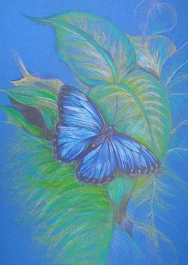 Blue butterfly cottagecore