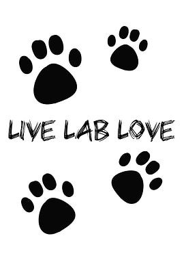 Life Lab Love