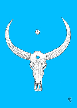Water Buffalo Skull Color
