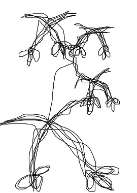 premium abstract pen