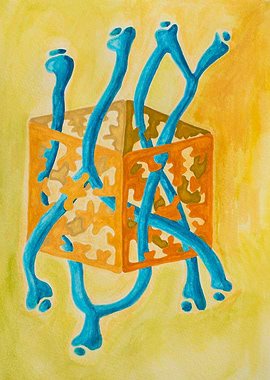 The Growing Universe