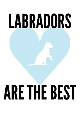 Labradors are the best
