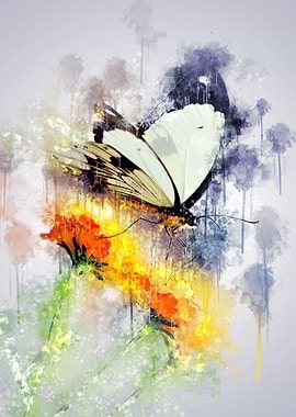 Butterfly