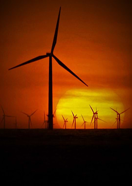 Windmills at Sunset