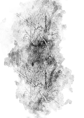 Abstract Black and White