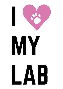 I love my lab