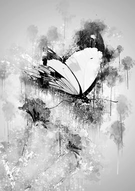 Butterfly BW