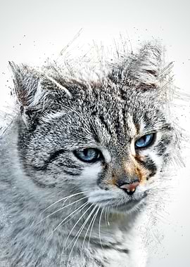 Cat Cute Illustration