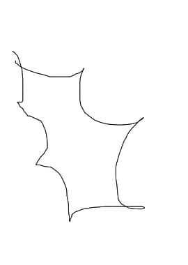 premium abstract line