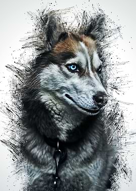 Animal Wolf