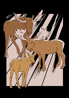 Moose Norway Scandinavia