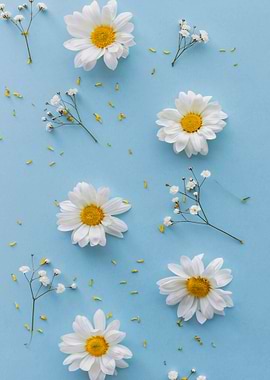 White flowers and blue