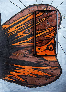Butterfly Wing